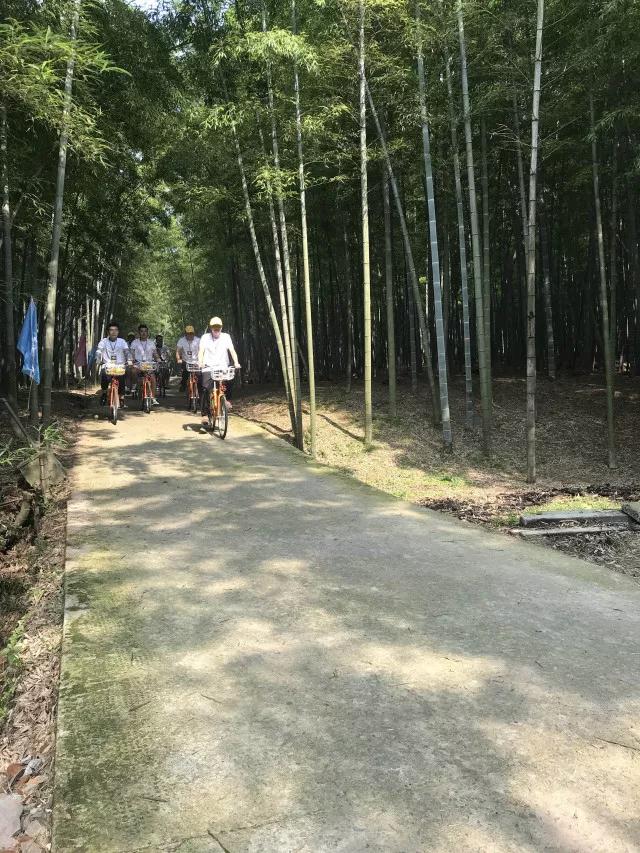 微信图片_20180711114533.jpg