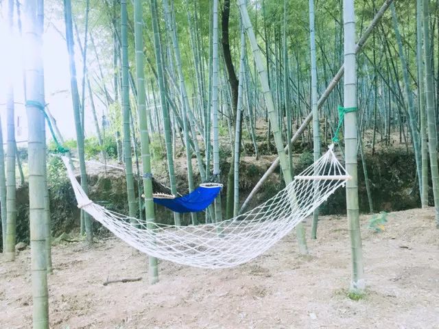 微信图片_20180711114538.jpg