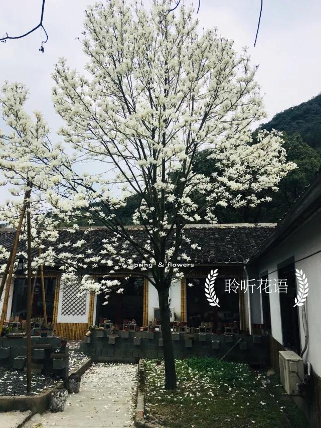 微信图片_20180716091353.jpg
