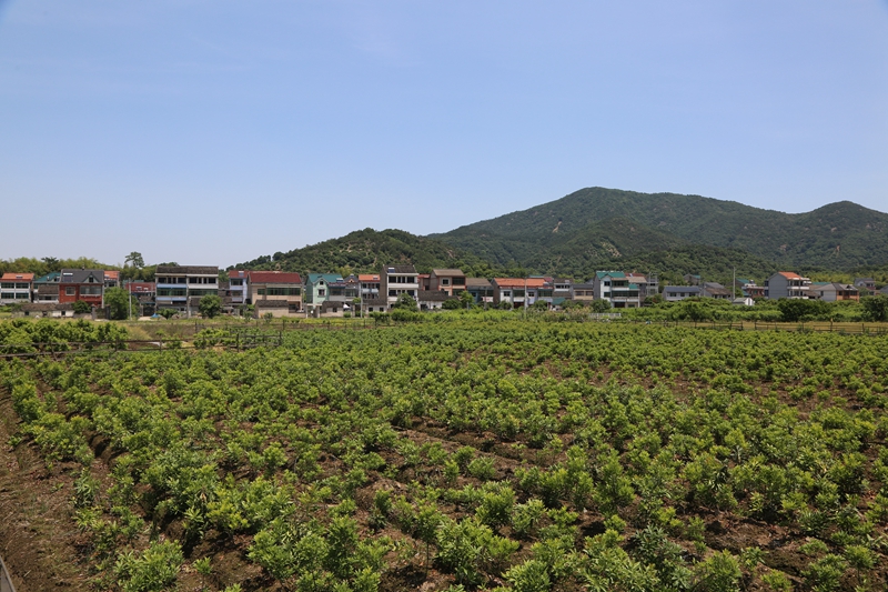 批处理086.jpg