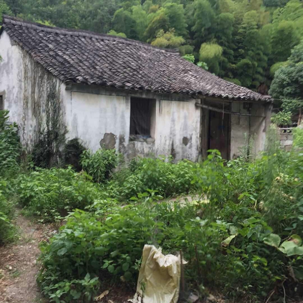 批处理10.jpg