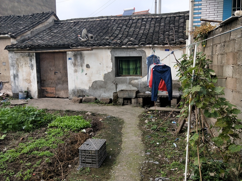 批处理1.jpg