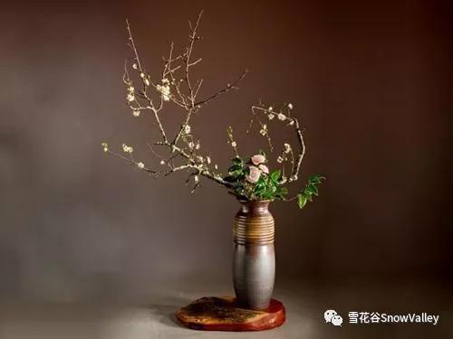 微信图片_20190226111610.jpg