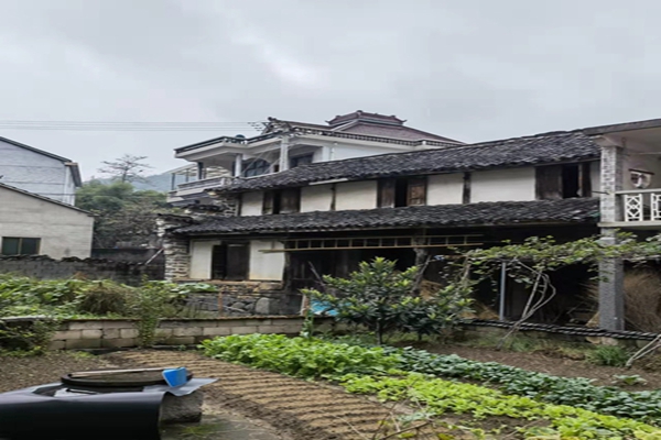 吴金茶.jpg