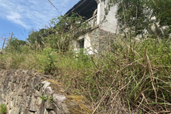 齐建平1.jpg
