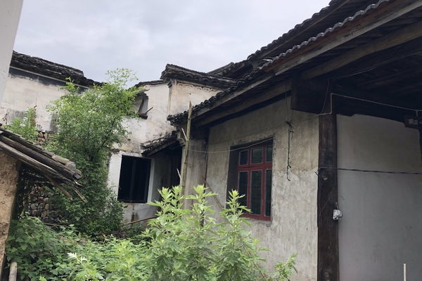 程焕军 (复制).jpg