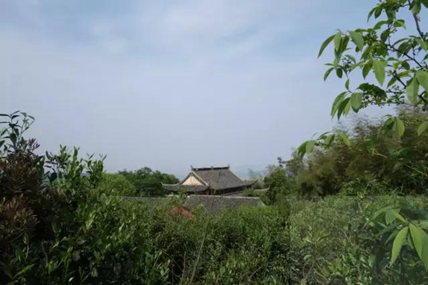 微信图片_20190123084614.png