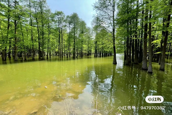 微信图片_20220506085921.png