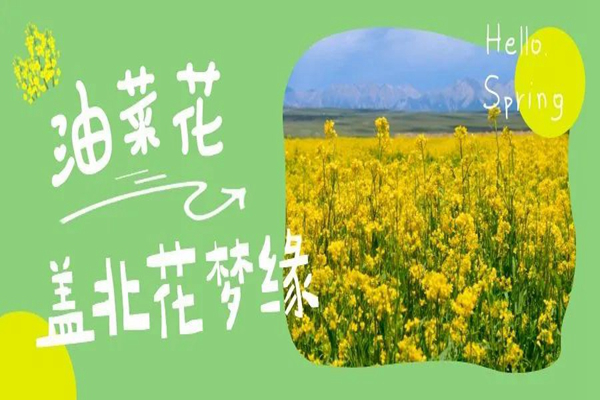微信图片_20220314091942.png