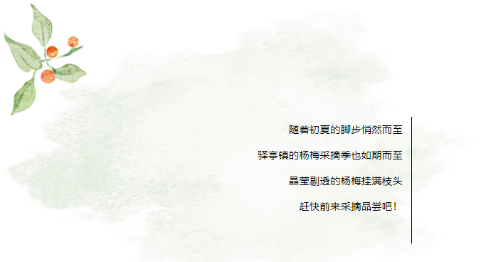 1718347474967.png