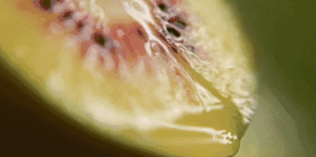 1729063433103353.gif