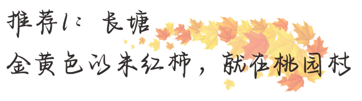 1731981522540.png