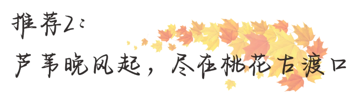 1731981928951.png