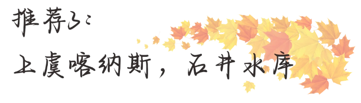 1731982059834.png