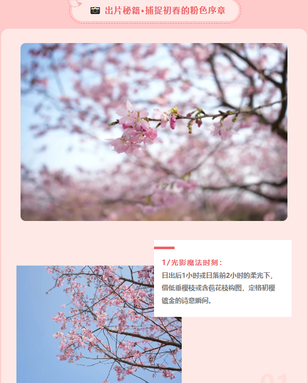 1742431852549.png