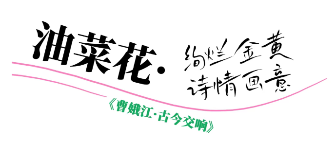 1744186173072.png