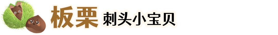 1759107250941148.png