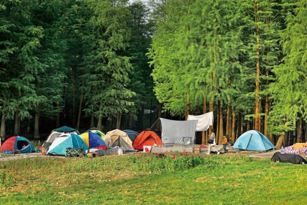 1761271202147814.jpg 640.jpg