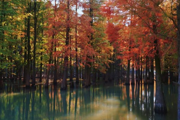 1761271222903710.jpg 640 (2).jpg