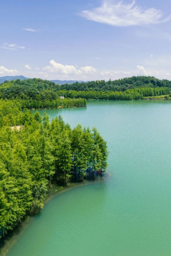 1761271548862184.jpg 640 (16).jpg