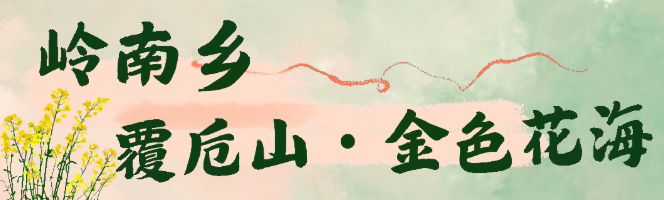 1773041344529204.png 9be06778-c285-4eab-8bd6-0dfbca1d9977.png