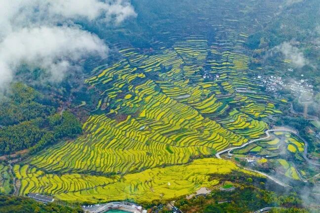 1773041372106929.jpg 1773041372106929.jpg