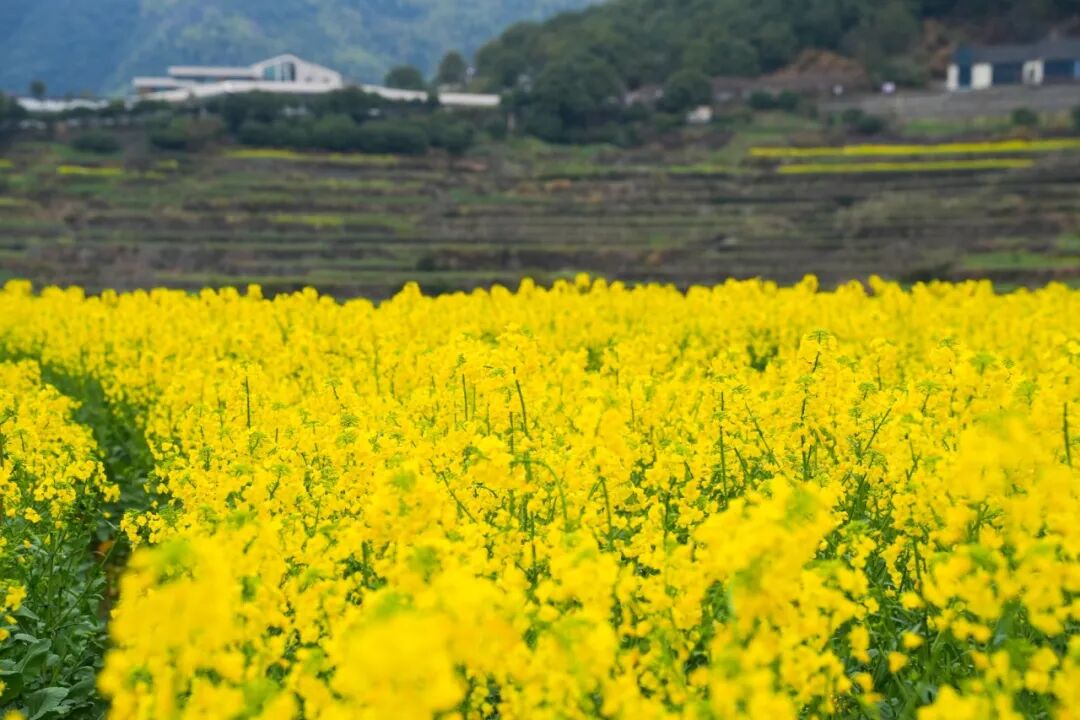 1773041393444044.jpg 1773041393444044.jpg