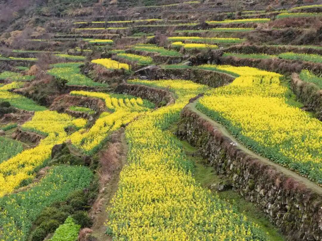 1773041425615827.jpg 1773041425615827.jpg