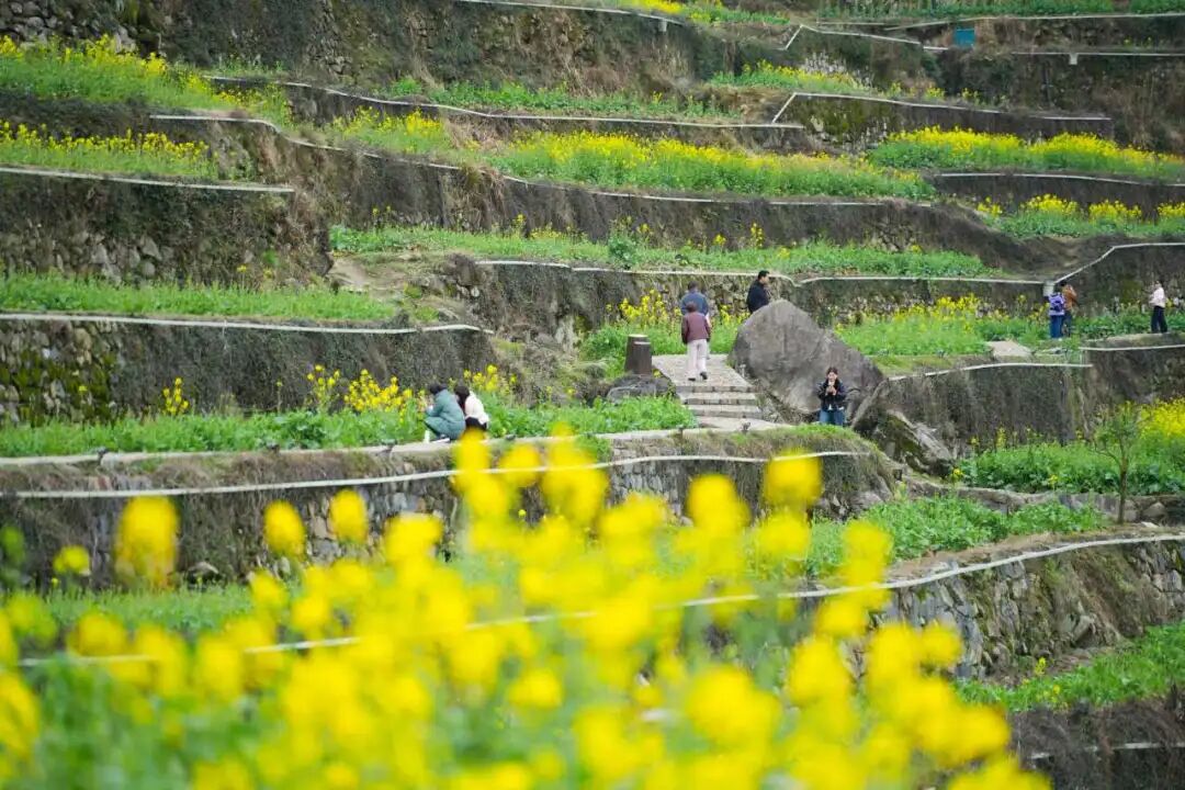 1773041576999456.jpg 1773041576999456.jpg