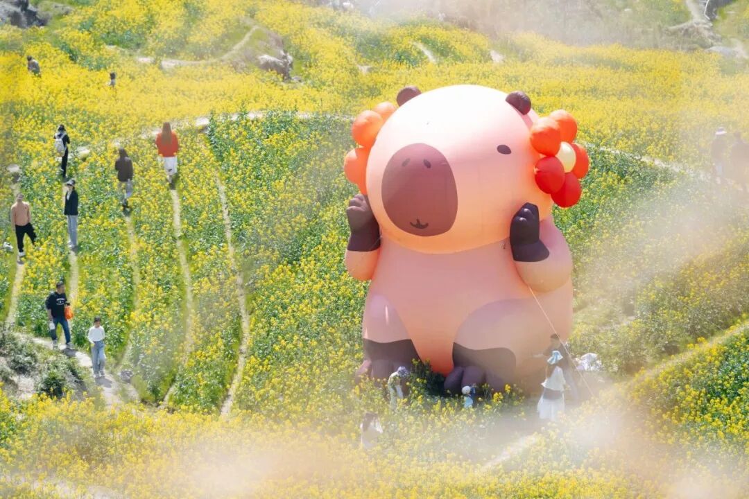 1773041601251735.jpg 1773041601251735.jpg