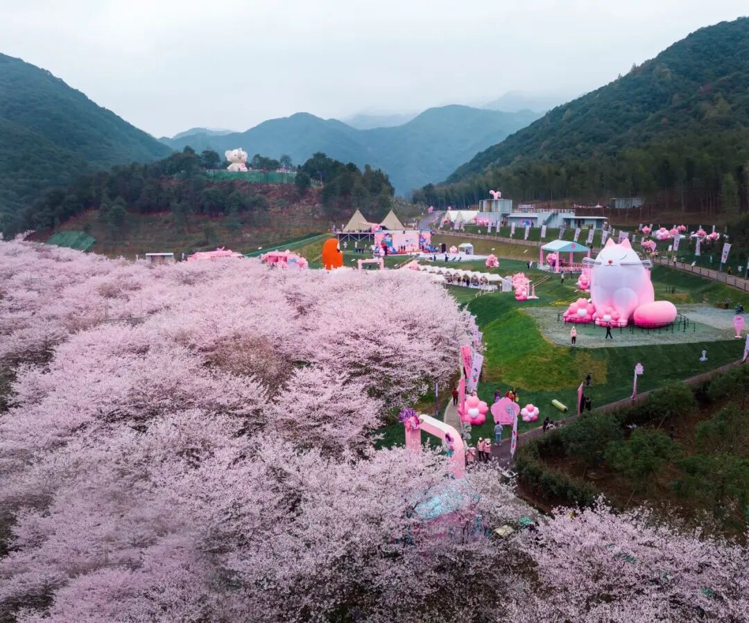 1773041841690832.jpg 1773041841690832.jpg