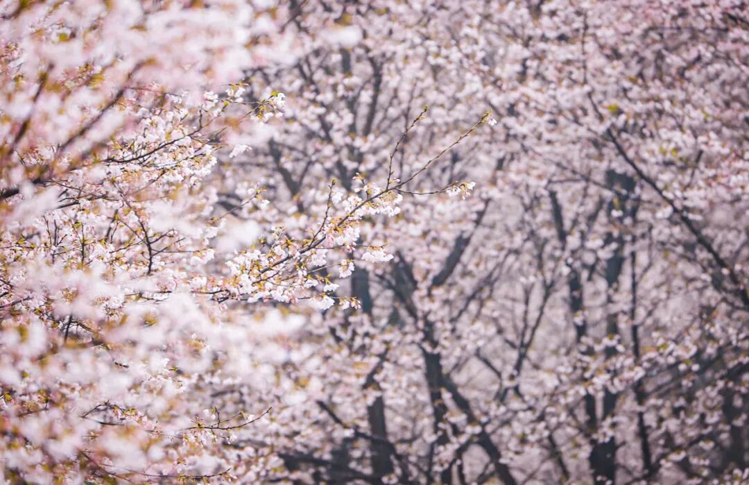 1773041909101864.jpg 1773041909101864.jpg