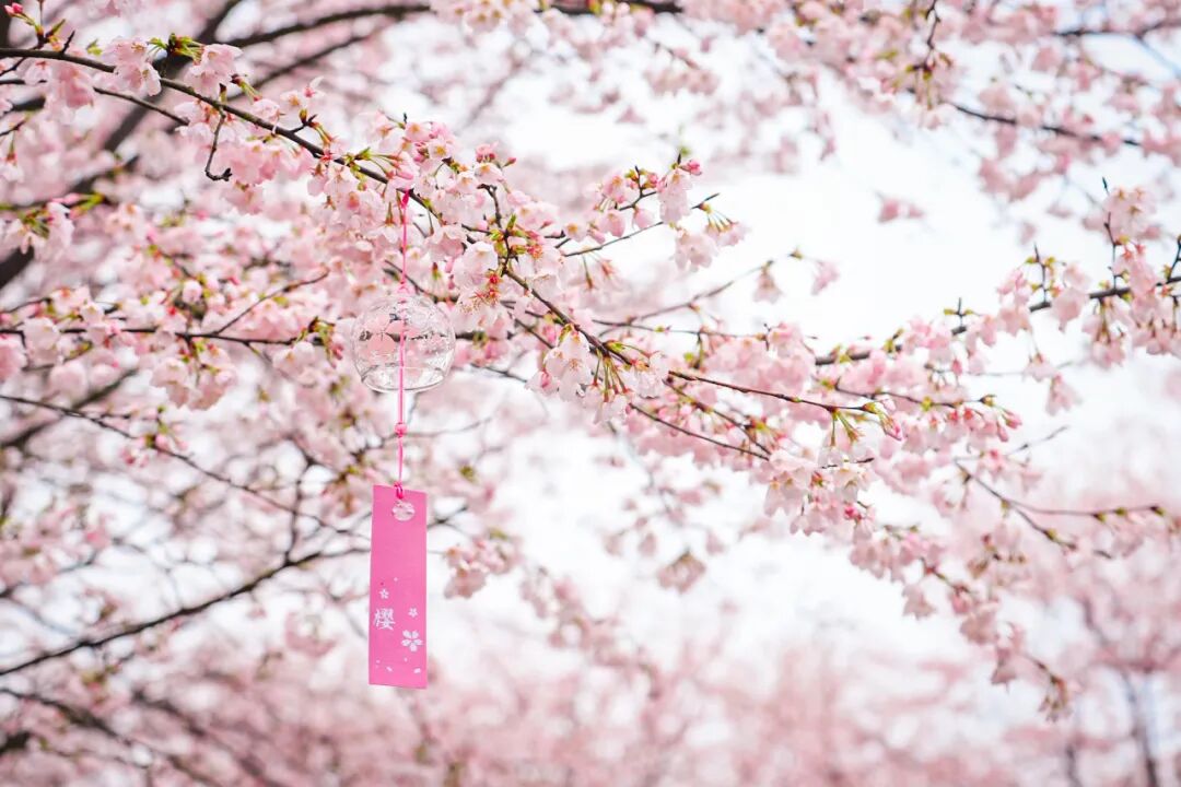 1773041929942869.jpg 1773041929942869.jpg