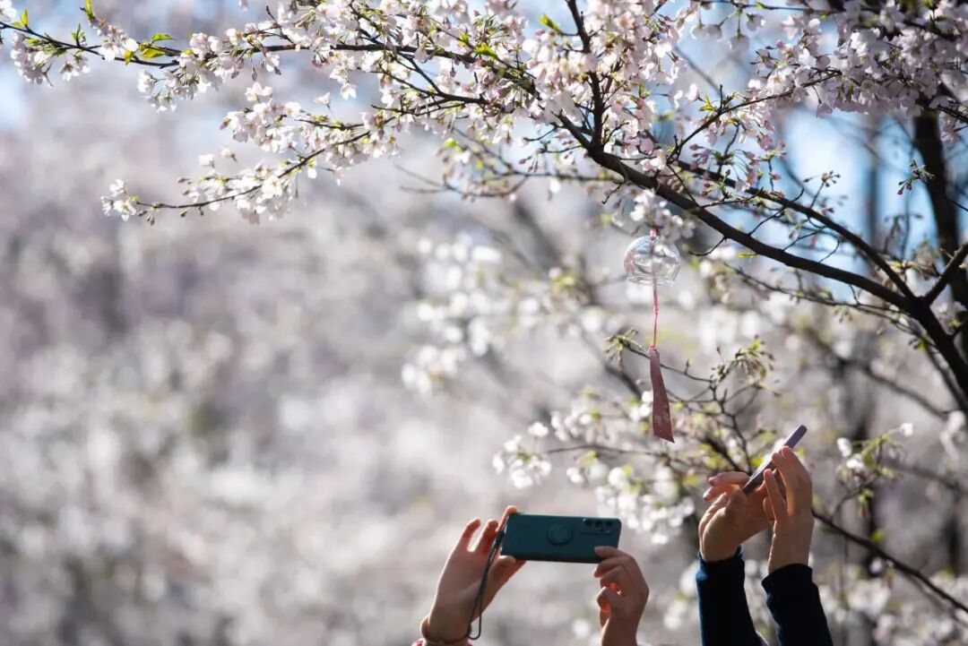 1773042009398689.jpg 1773042009398689.jpg