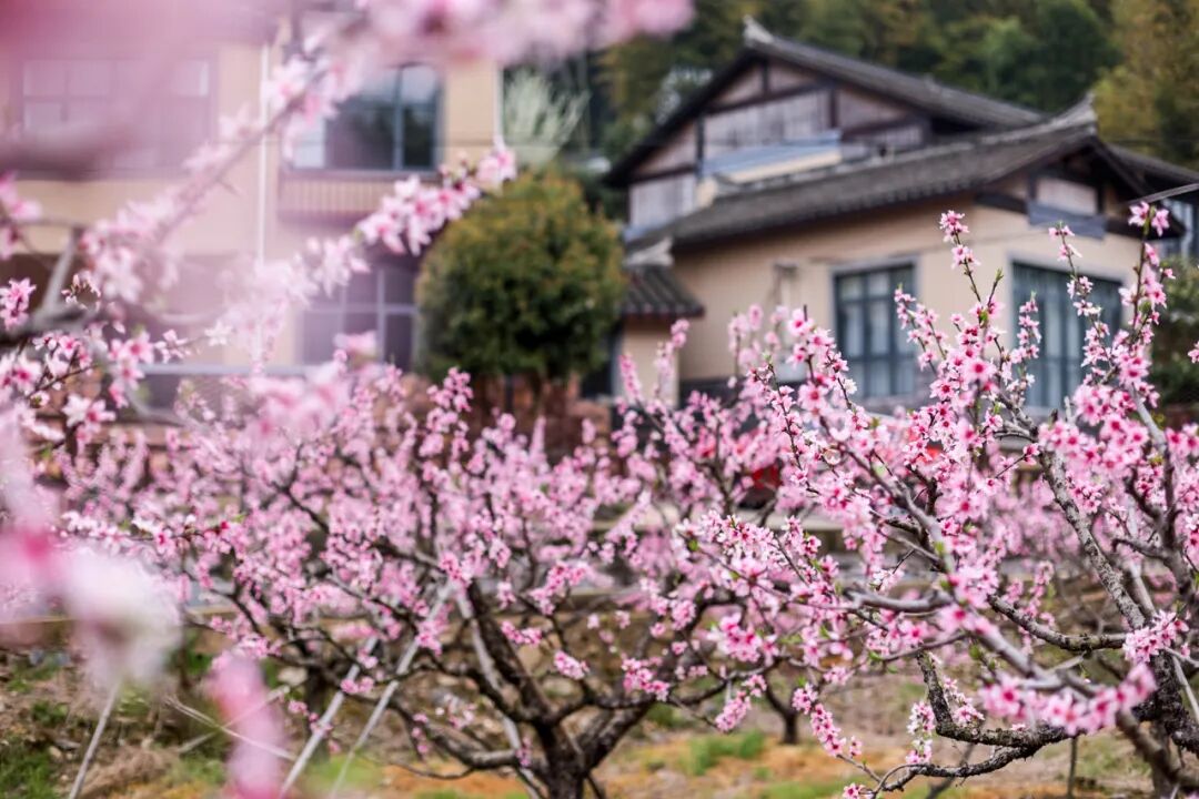 1773042195739415.jpg 1773042195739415.jpg