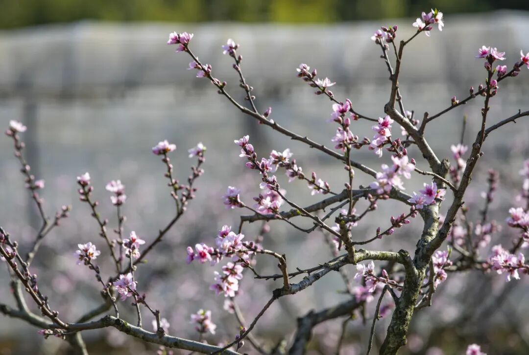 1773042223129813.jpg 1773042223129813.jpg