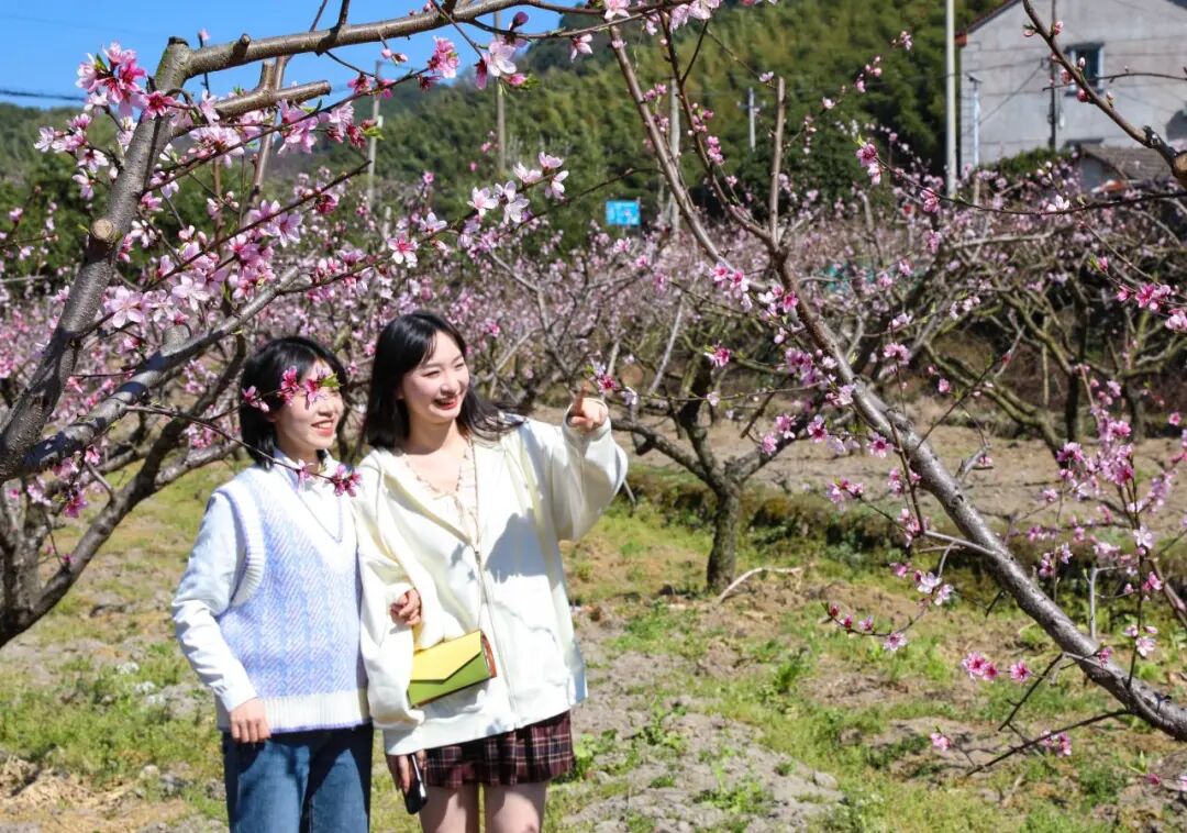 1773042268801552.jpg 1773042268801552.jpg