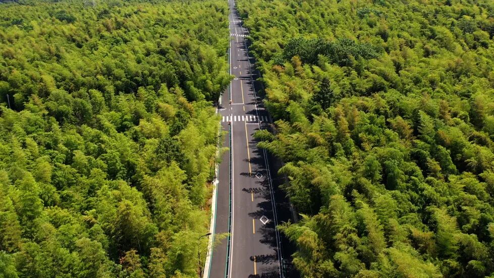 1774334281112751.jpg 1774334281112751.jpg