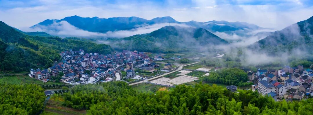 1774334330127348.jpg 1774334330127348.jpg