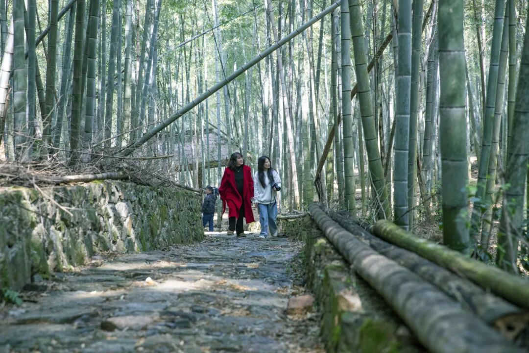 1774334389409834.jpg 1774334389409834.jpg