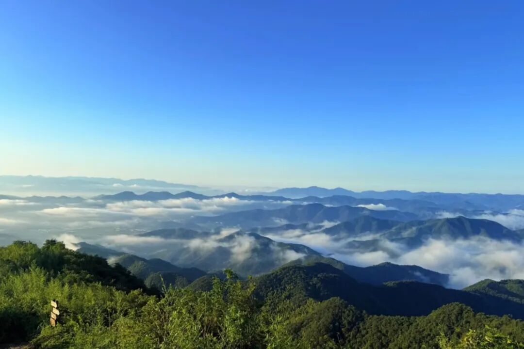 1774334417251563.jpg 1774334417251563.jpg