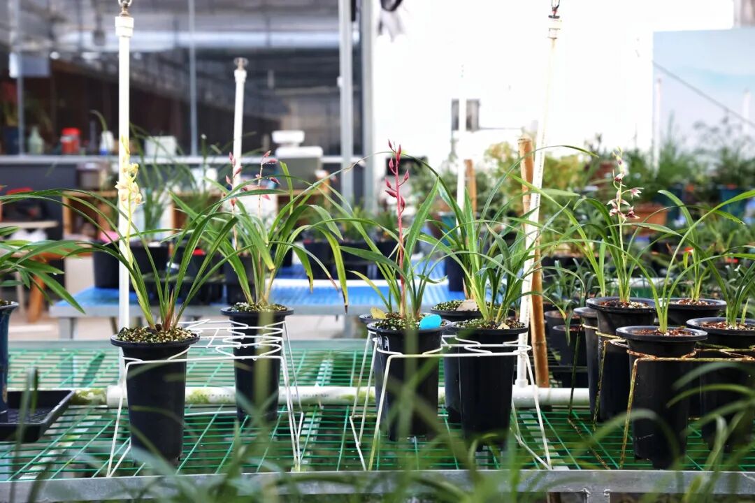 1774334576944547.jpg 1774334576944547.jpg