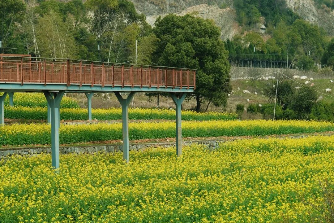 1774405570570171.jpg 1774405570570171.jpg