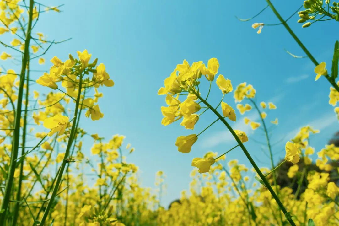 1774405742921740.jpg 1774405742921740.jpg