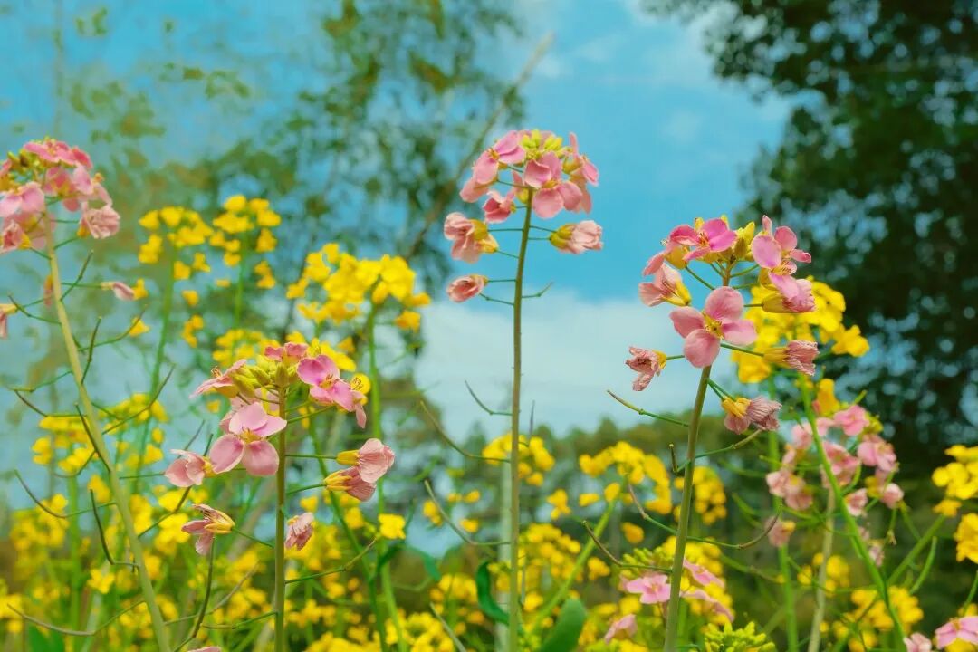 1774405792133153.jpg 1774405792133153.jpg