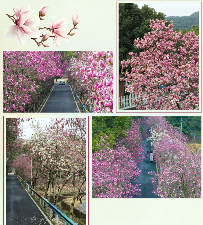 1774833249411469.png 1774833249411469.png