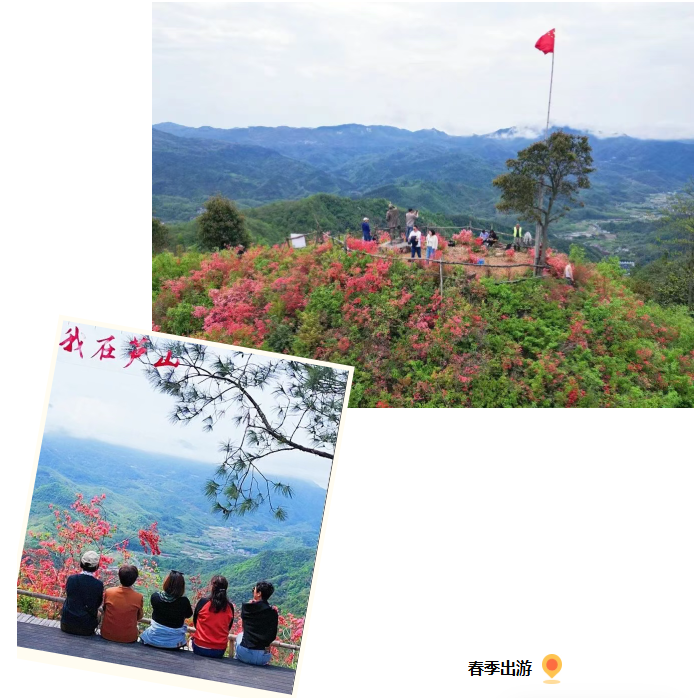 b21764e0-2739-45bc-95ed-9b340f0524d1.png