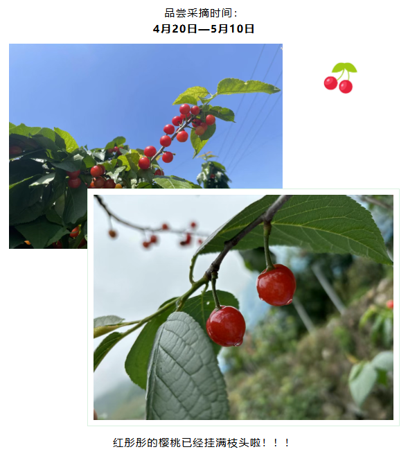 c8f73727-d1ef-4deb-a8d1-0046d150bda2.png
