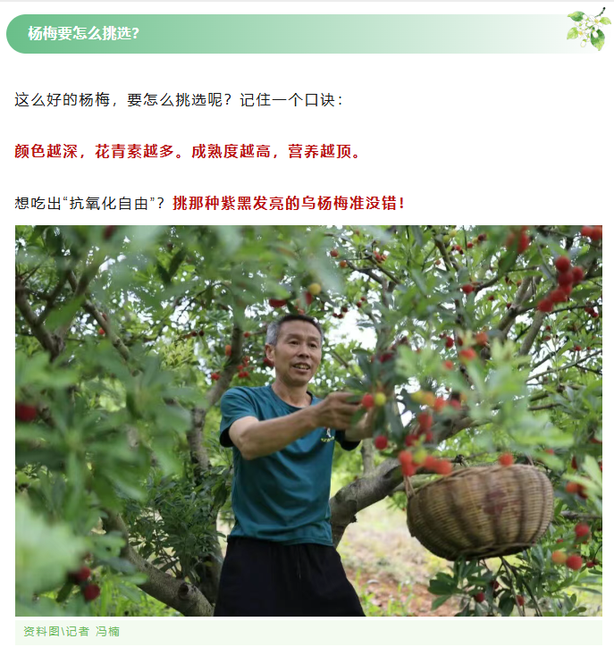 96cf3cc3-e95f-4174-b8c7-5ea0ae76c85e.png