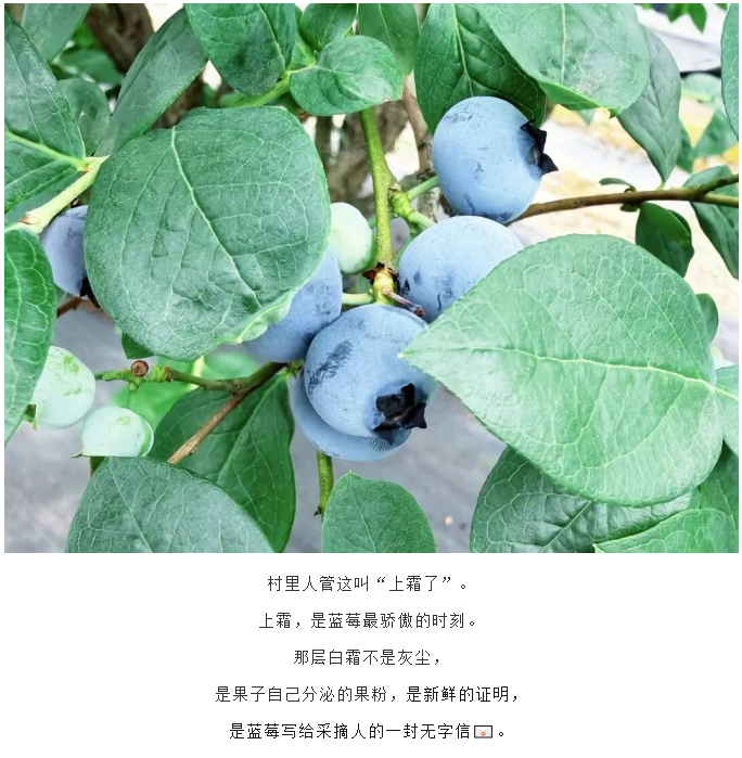 2a6f8e3f-60ad-4f10-93d9-bd0f8af06b86.png